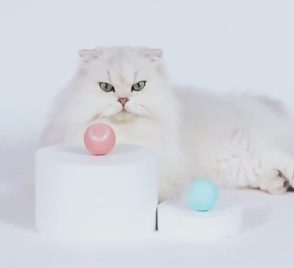 Pelota Interactiva para Mascota